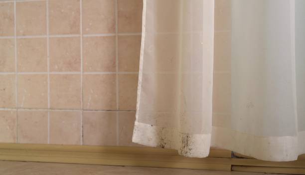 Best Water Damage & Mold Remediation  in Grove Hill, AL