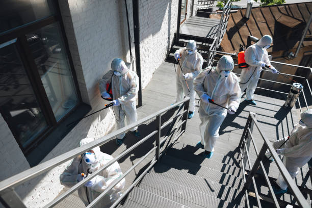 Best Biohazard Mold Removal  in Grove Hill, AL