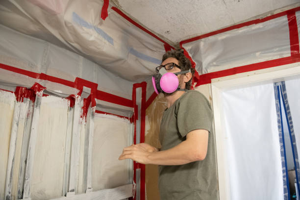 Best Real Estate Mold Inspection  in Grove Hill, AL