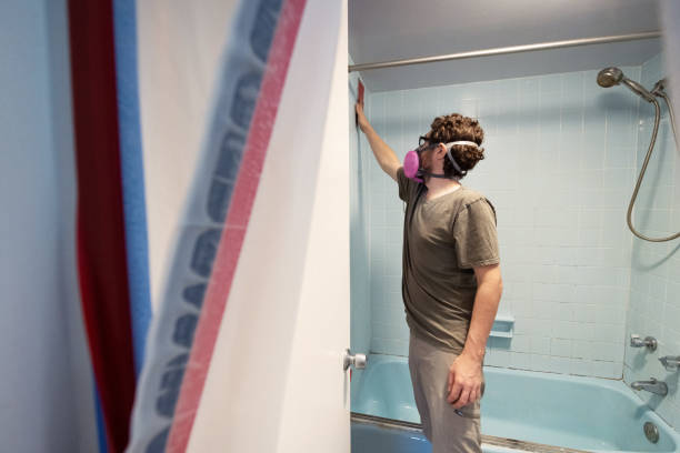 Best Asbestos and Lead Testing During Mold Inspection  in Grove Hill, AL