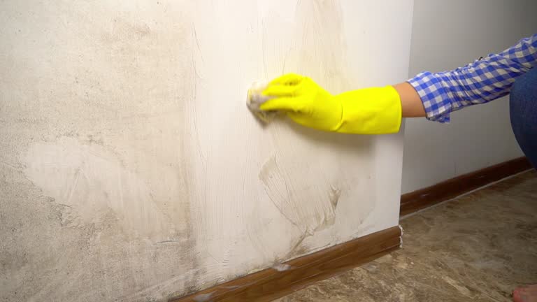 Best Crawl Space Mold Remediation  in Grove Hill, AL