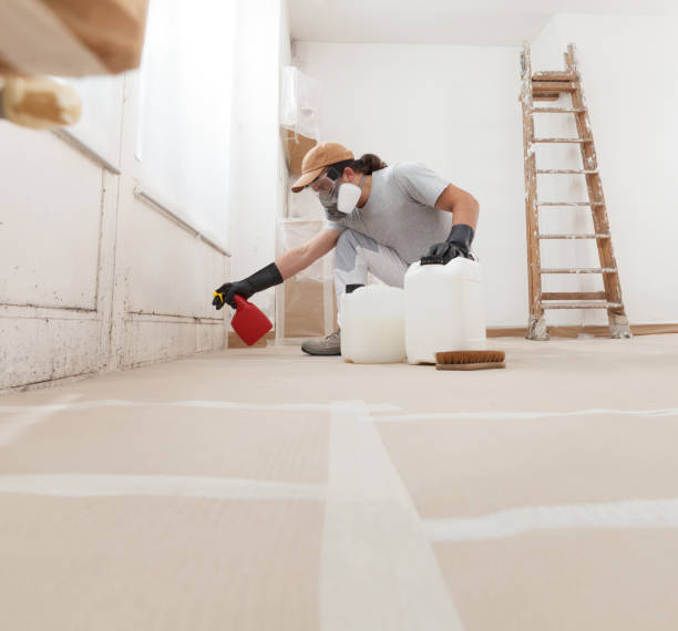 Mold Remediation for Vacation Homes in Grove Hill, AL